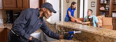 Best Pest Exclusion Services  in Brightwood, VA